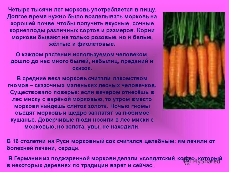 Сколько потребуется морковок. Характеристика моркови. Внешний вид моркови. Корнеплоды употребляемые в пищу человеком. Характеристика сортов корнеплодов морковки.
