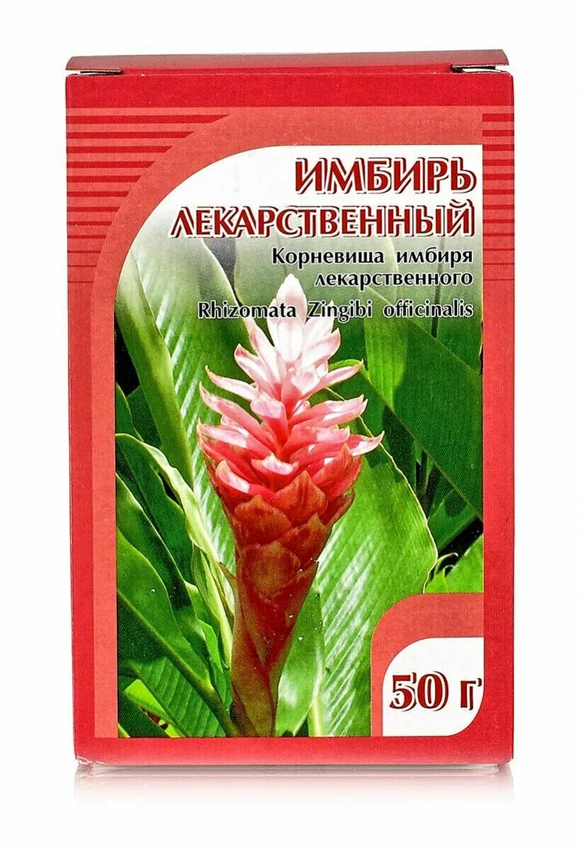 семена имбиря. имбирь плод. имбирь фрукт. семена имбиря для посадки. имбирь (zingiber).