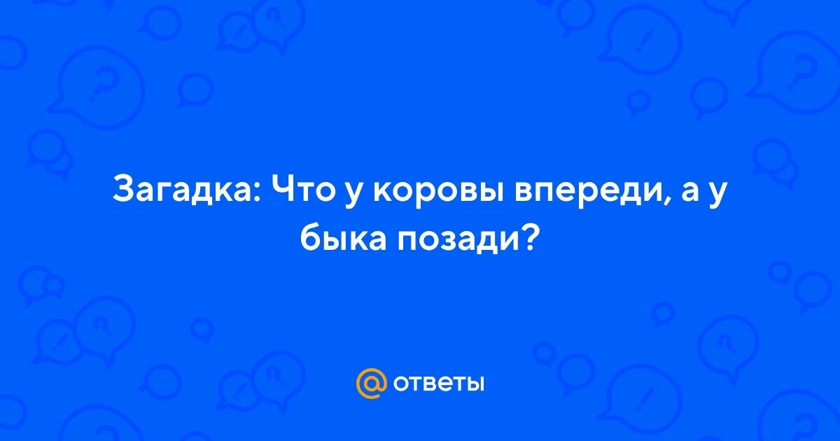 Что у коровы впереди у быка позади