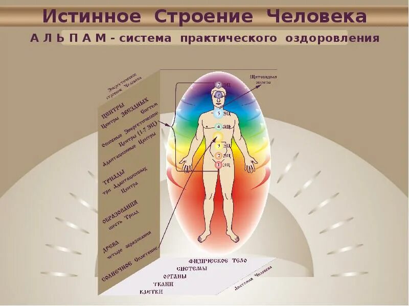 Наличием человеческого в человеке. Структура человека. Энергетическое строение человека. Строение человека эзотерика. Строение человека презентация.