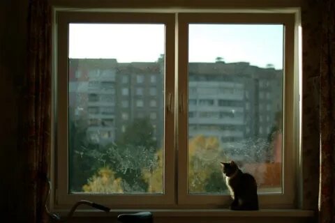 Скопировать окно