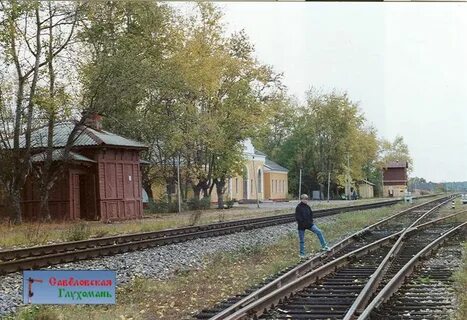 Ст старицы