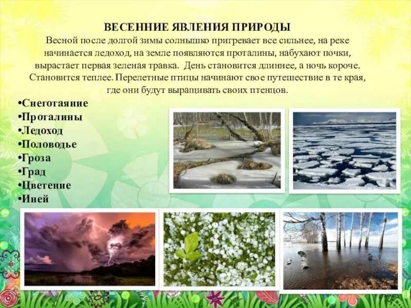 Угадай природную зону по описанию зима
