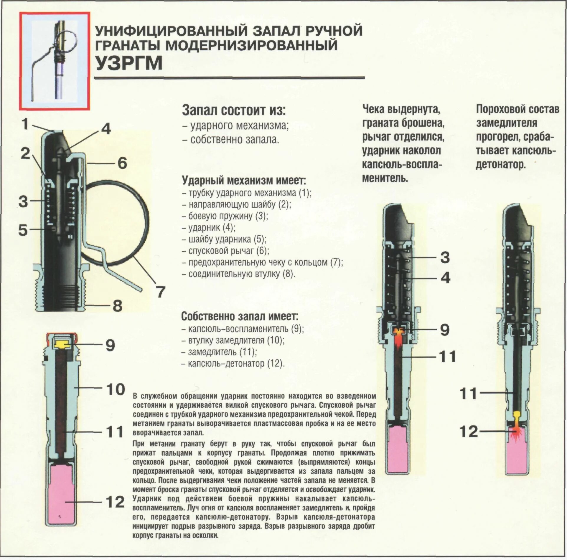 Как получить детонатор. Капсюль детонатор УЗРГМ. Ручные гранаты РГД 33. Запал гранаты ф1 устройство. Диаметр гранаты РГД 5.