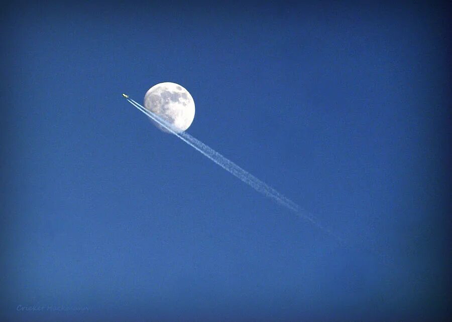 Fly the moon слушать. Fly to the Moon. Fly me to the Moon картинки. Flying to the Moon. Fly to the Moon игра.