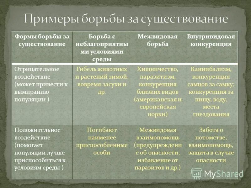 Межвидовая борьба примеры растений. Внутривидовая форма борьбы за существование. Борьба за существование примеры. Формы межвидовой борьбы за существование. Формы борьбы за существование биология таблица