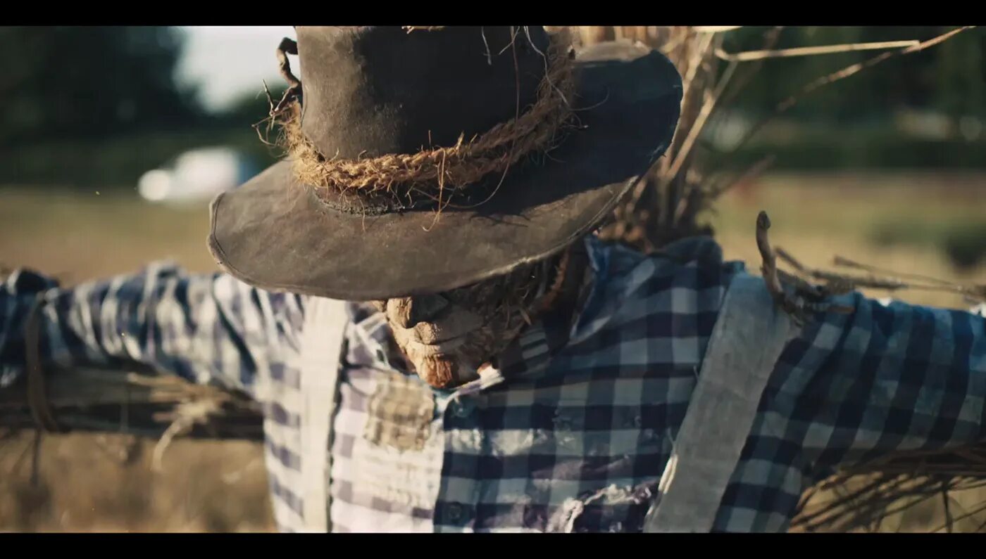 Чучело огородное. Про чучело. Пугало огородное своими руками. Чучело огородное презентация. Чучело своими руками для сада и огорода.