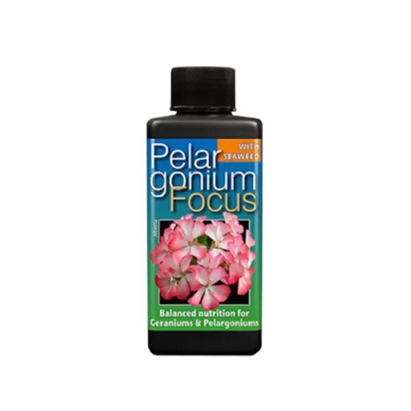 Герань подкормка. Geranium Focus 300мл. Gt Geranium Focus для герани 300 мл. Удобрение для пеларгонии. Удобрение для пеларгонии для цветения.