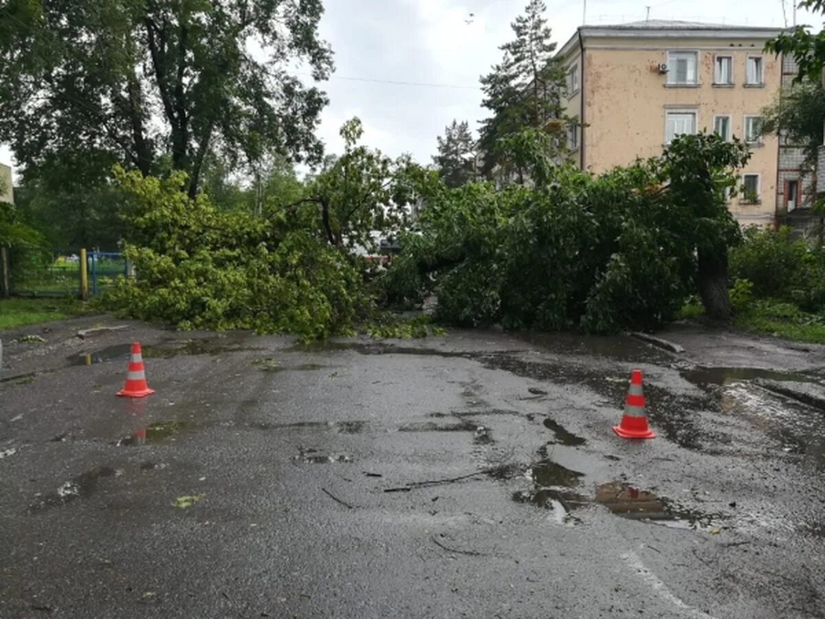 Погода вольно надеждинское приморский на 10 дней. Приморский край Шкотово 27. Сибирцево Приморский край. Авангард Партизанск Приморский край. Шкотово Приморский край люди в школе.