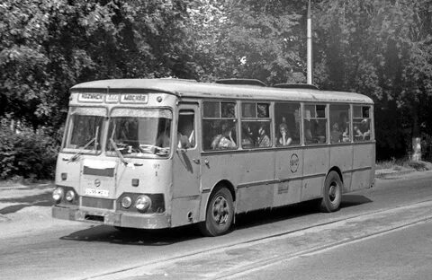 36 автобус ногинск