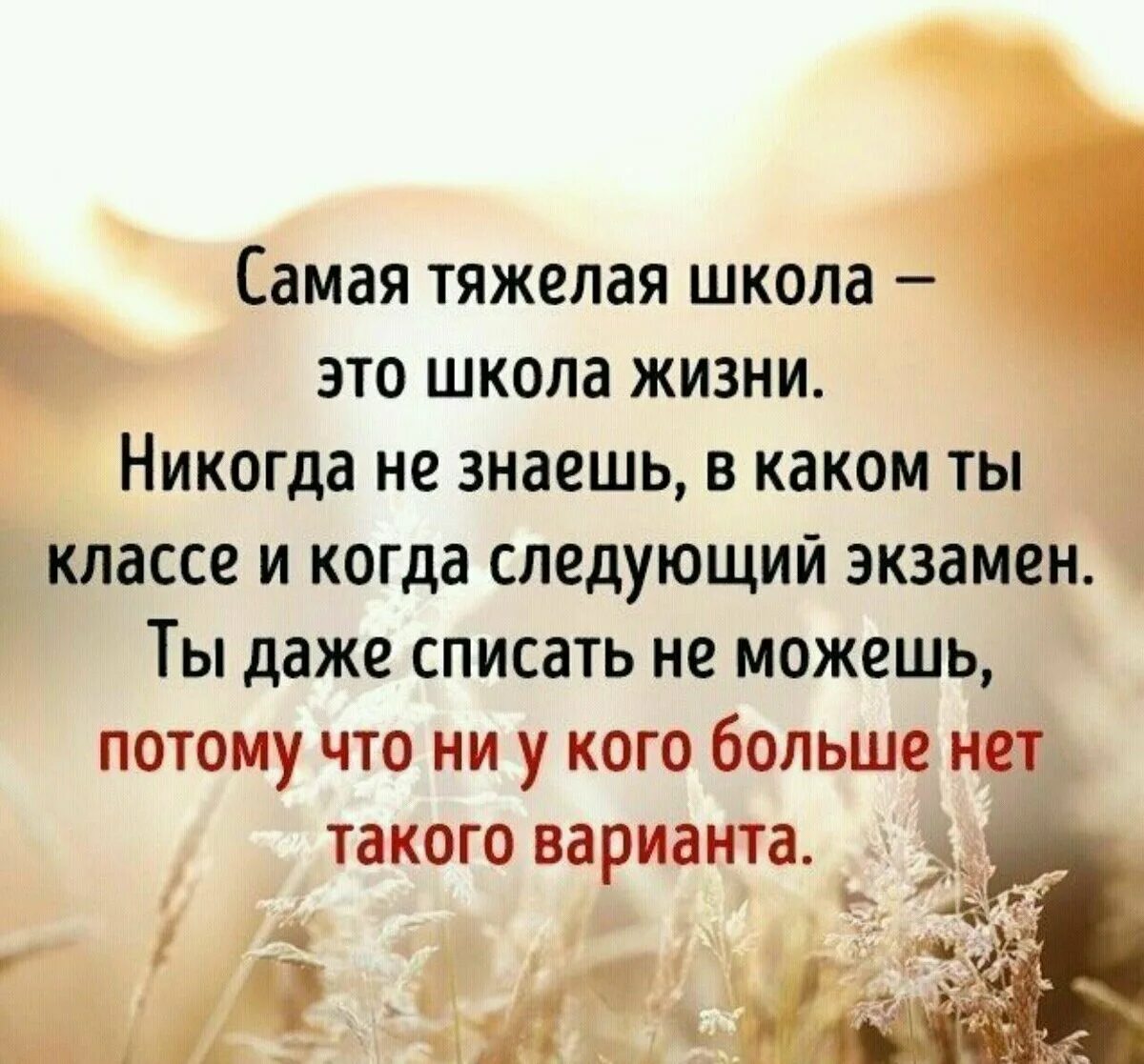 Про уроки жизни. Цитаты про жизнь. Самые Мудрые высказывания. Мысли цитаты. Высказывания о хороших людях.