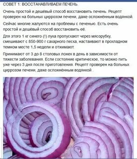 За сколько дней восстанавливается печень