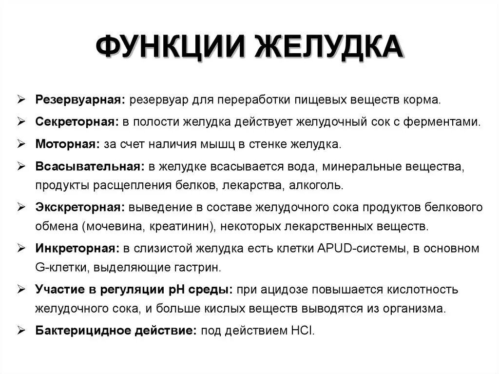 Функции желудка человека кратко. Основные функции желудка таблица. Функции желудка кратко. Функции желудка в пищеварении.