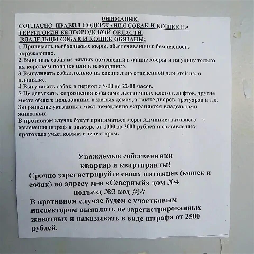 Содержание запереть. Объявление о содержании собак. содержание собаки в подъезде. закон о содержании животных в подъезде гадит. правила содержания кошек в подъезде многоквартирного дома.