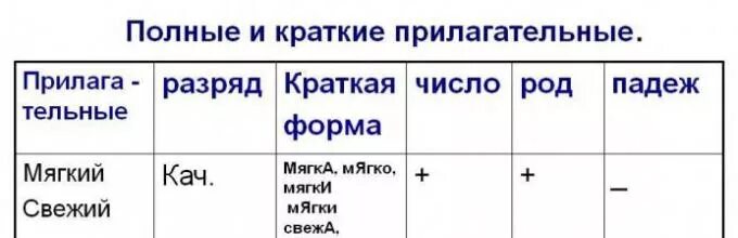 Падеж краткой формы прилагательного. Падеж краткой формы прилагательного