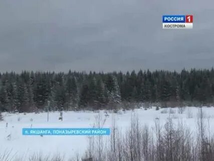 Погода на неделю якшанга