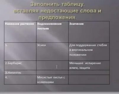 Изучи предложенную таблицу