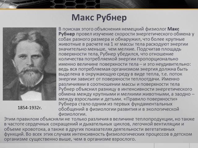 Закон изодинамии питательных веществ рубнера. Закон поверхности тела рубнера. Правило поверхности тела физиология. Правило поверхности тела. Закон поверхности тела физиология.