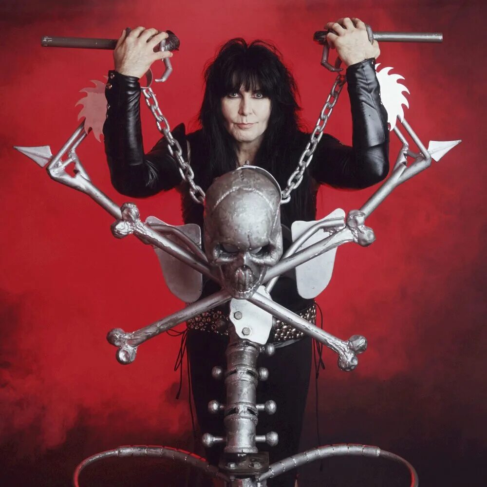 D группа альбомы. Wasp группа 2022. Wasp Blackie Lawless. Wasp 80s. Wasp группа Art.