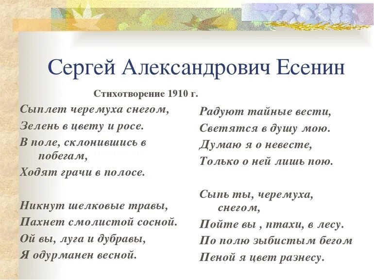 Метафоры черемуха. Стихотворение сыплет черемуха снегом есенин. есенин сыплетчерёмуза снегом. стих есенина сыплет черёмуха снегом. сергей есенин стихотворение сыплет черемуха снегом.