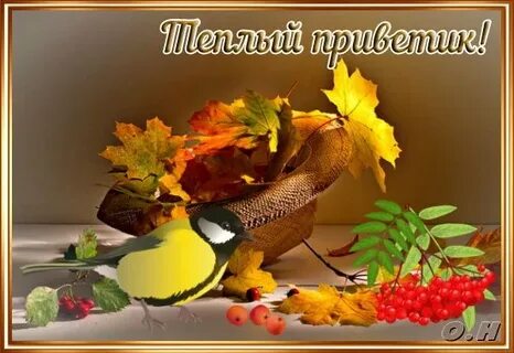 Ноябрьский приветик