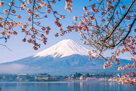 Japan huge