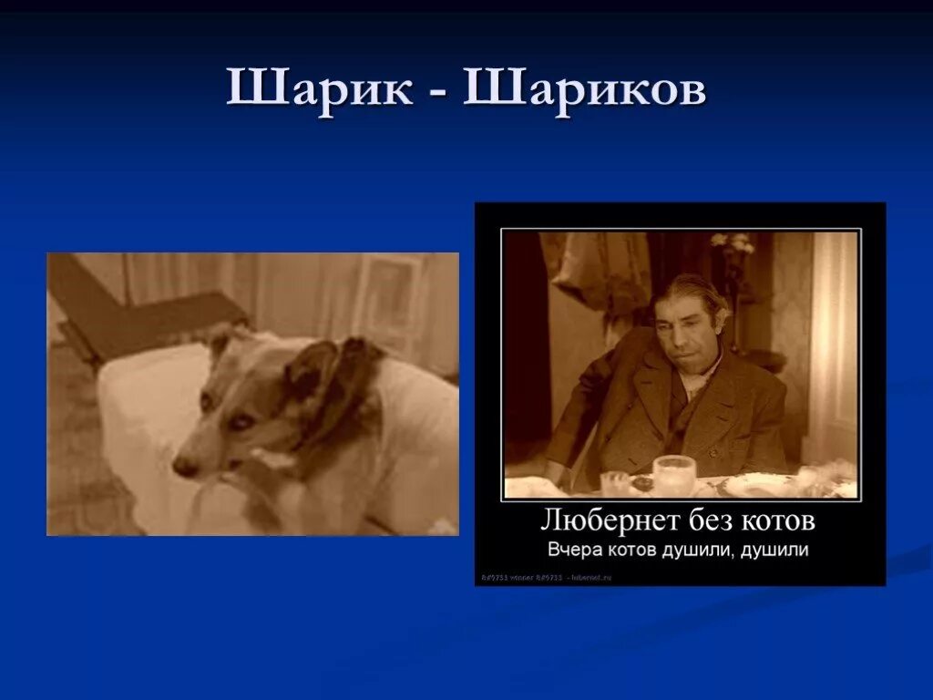 Кто такой шариков из собачьего сердца. Советская действительность собачье сердце. образ шарикова собачье сердце. собачье сердце шарик. кластер шариков собачье сердце.