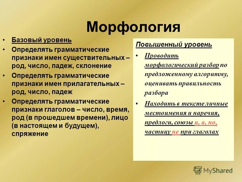 Грамматические критерий её выделения. Укажите ошибку в определении грамматических признаков. Укажите ошибку в определении грамматических признаков. Укажите ошибку в определении грамматических признаков. Укажите ошибку в определении грамматических признаков.