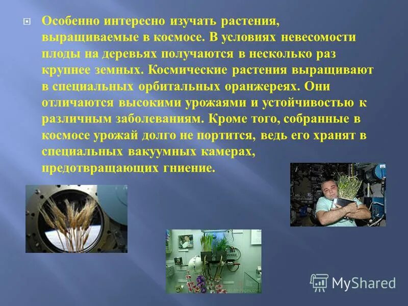 сочи город россии проект 2. креативные фотосессии на природе. цель констатирующего эксперимента. вдохновение человека. что такое вербное воскресенье кратко.