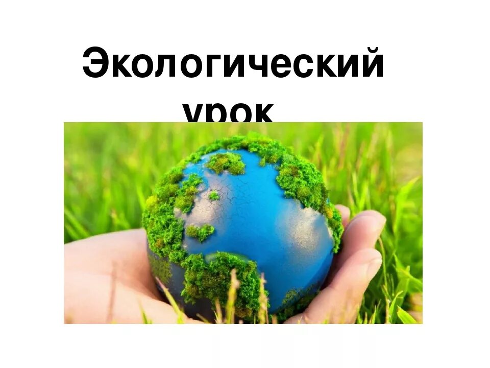 Экология урок 2. Экологическая безопастно. Спасибо за внимание экология. Спасибо за внимание по экологии. Понятие экологической безопасности.