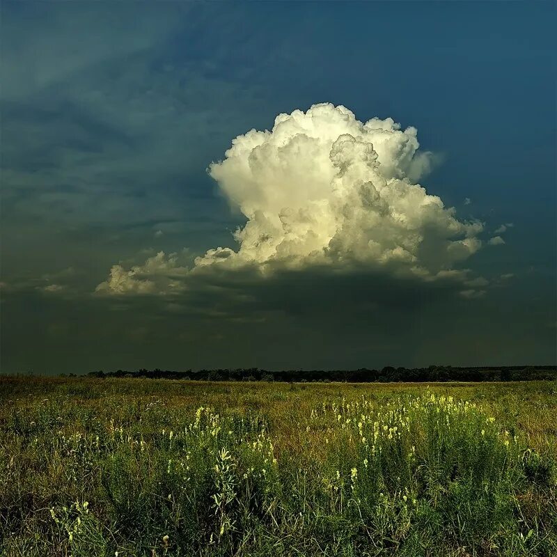 Поле перед дождем. Гроза туман. Firtina cumulus. Небо полное дождя. Облако с дождем.