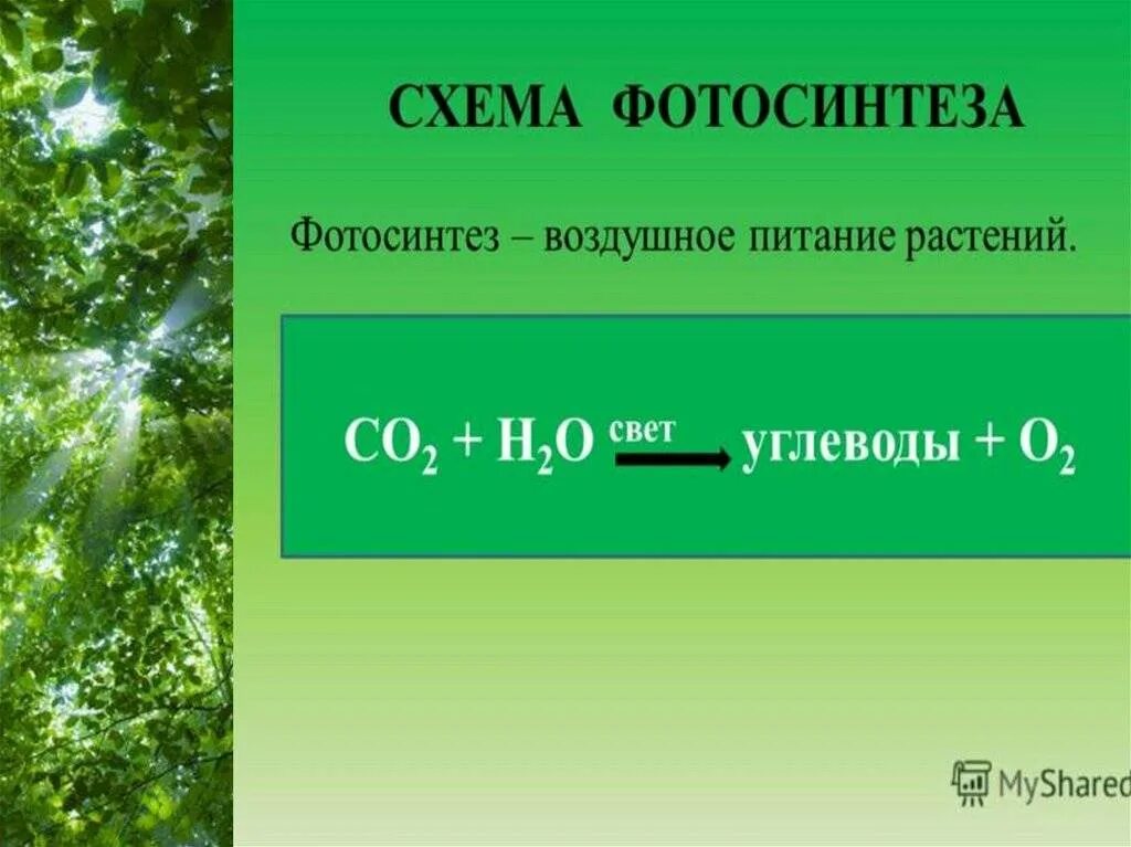 Фотосинтез происходит тест. Формула фотосинтеза у растений 6 класс биология. формула фотосинтез 5 класс биология. воздушное питание фотосинтез. воздушное питание растений фотосинтез.