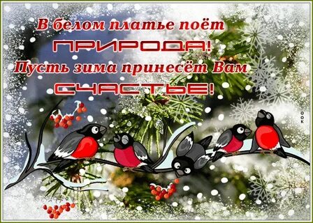 Зимою приносить