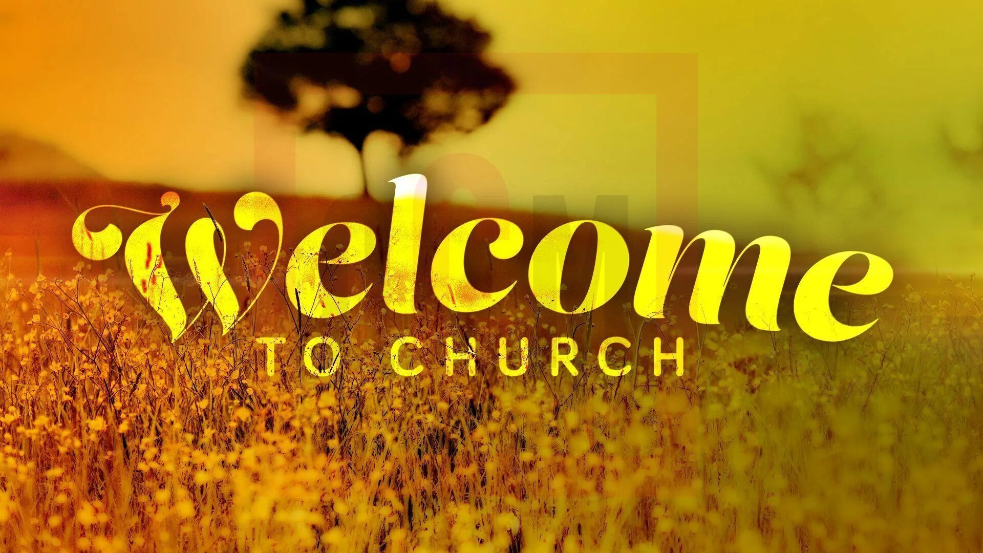 Welcome color. Фон велком. welcome фото. welcome to church. обои с надписью welcome.