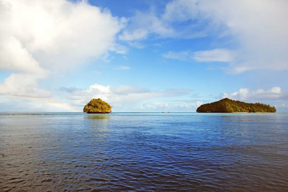 Плотный остров. Остров Грин Айленд вид сверху. Остров морская Чапура. Albany Island остров. Острова и море.