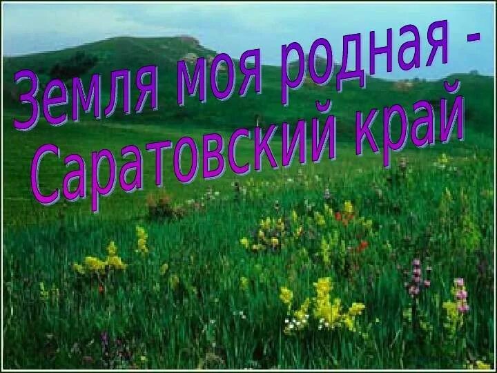Доклад про почву. Поверхность земли в саратовской области. Экология почвы. Земля моя родная саратовский край. Почвы моего края.