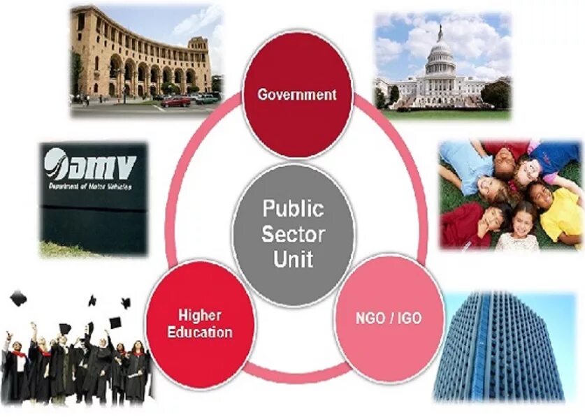 Private and public sector. Sectors of public service. What is public sector.