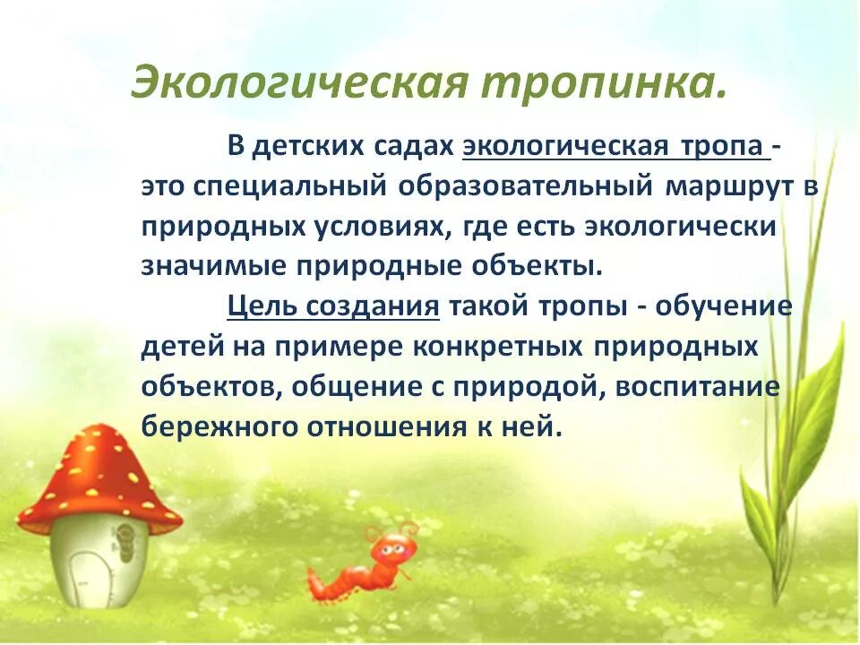 Темы по самообразованию по экологическому воспитанию дошкольников. Экологическое воспитание дошкольников. экологическое воспитание в детском саду. экологическое образование дошкольников в доу. экологическое воспитание детей в детском саду.