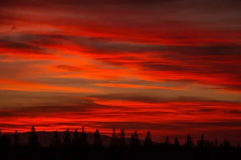 Blood sky