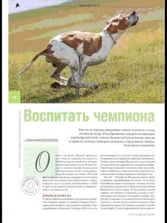 Большой поиск