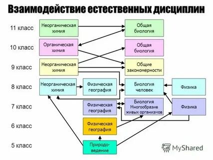Наука виды взаимосвязей