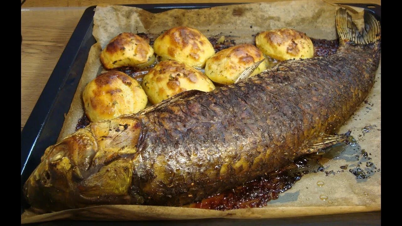 белый амур жареный.