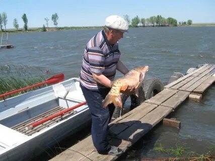 Платная рыбалка в самаре