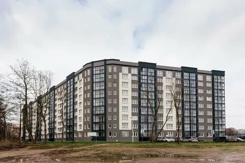 Новгородская улица калининград