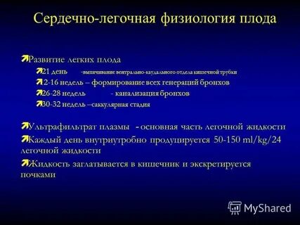 Эмбриона легких
