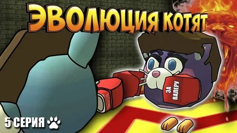 Эволюция котят 1