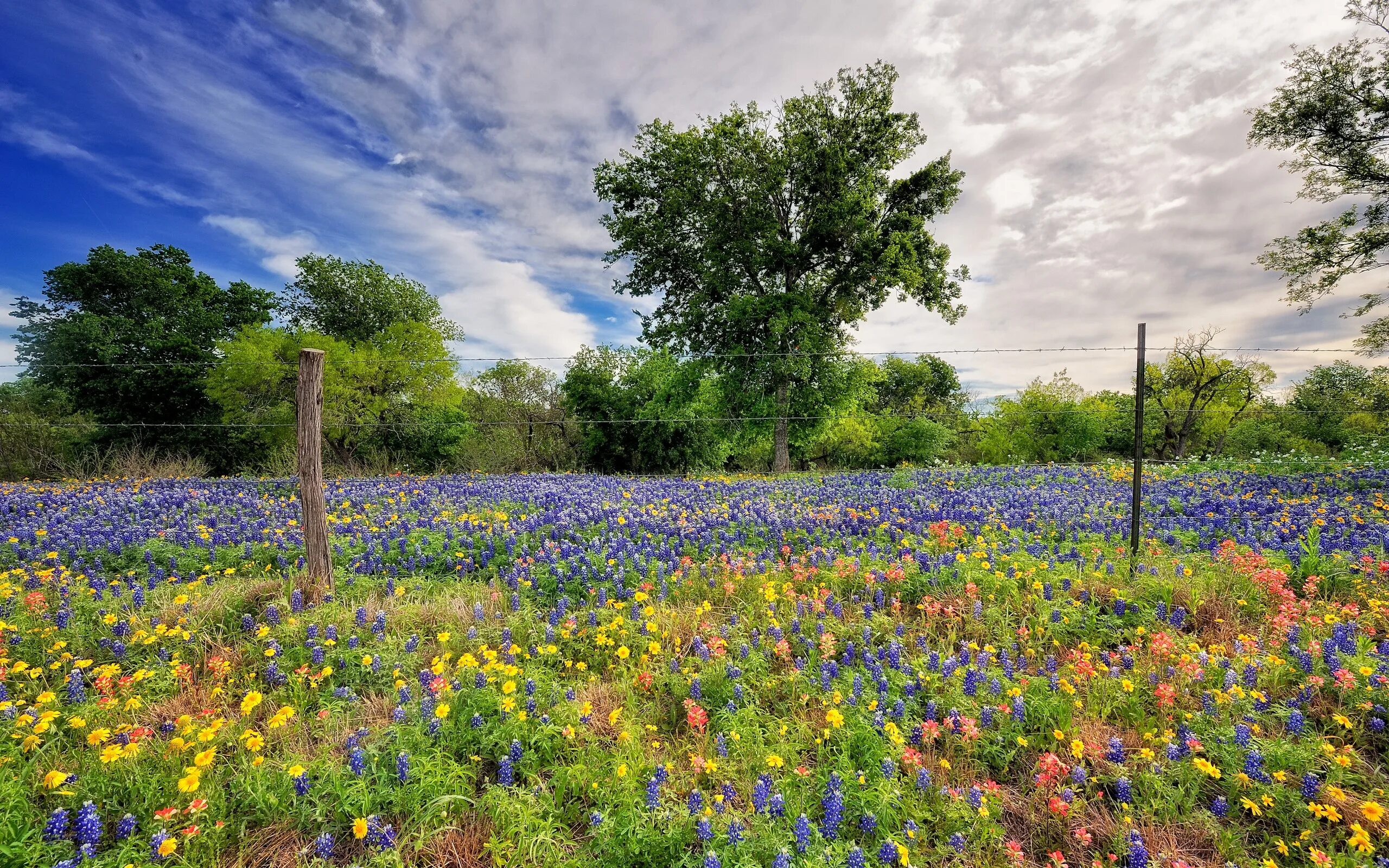 Flower nature. Сады пита Удольфа. Летняя природа. Весенняя природа. Летний пейзаж.