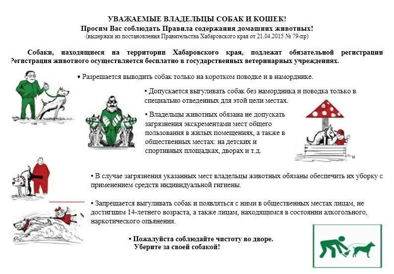 Правила содержания 170. Правила содержания животных. Правила содержания домашних животных. Закон о содержании домашних животных в многоквартирном доме. Правила содержания собак.