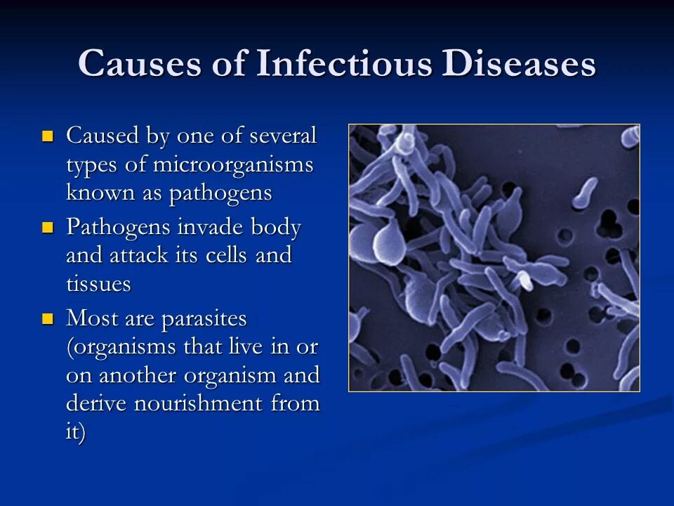 Infectious diseases. Classification of Infectious diseases.