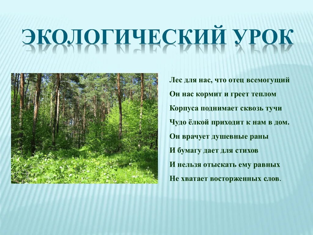 Экологическая презентация для начальных классов. Экология для малышей. Экологический проект в начальной школе. Экология темы уроков. Экологическая презентация для начальных классов.
